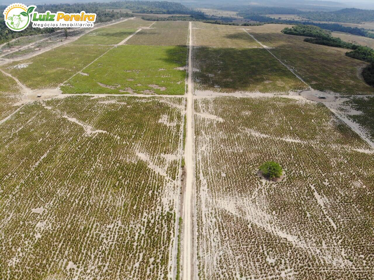 Fazenda à venda, 12560000m² - Foto 4