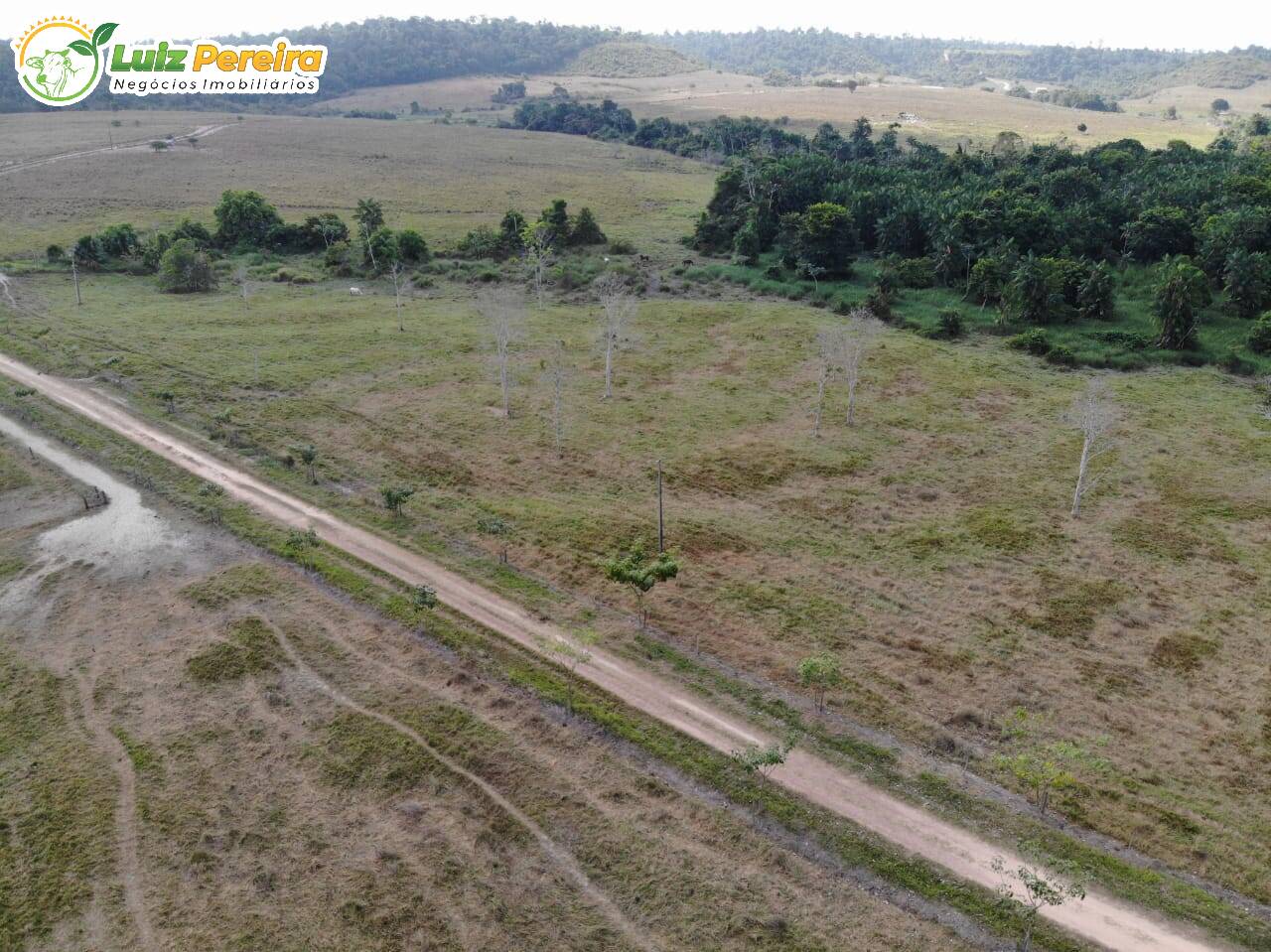 Fazenda à venda, 12560000m² - Foto 9