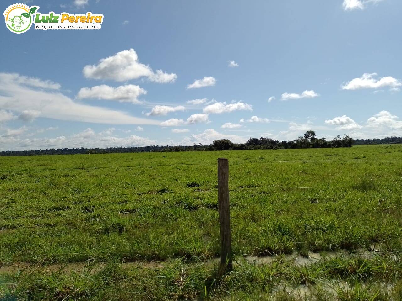 Fazenda à venda, 12560000m² - Foto 3