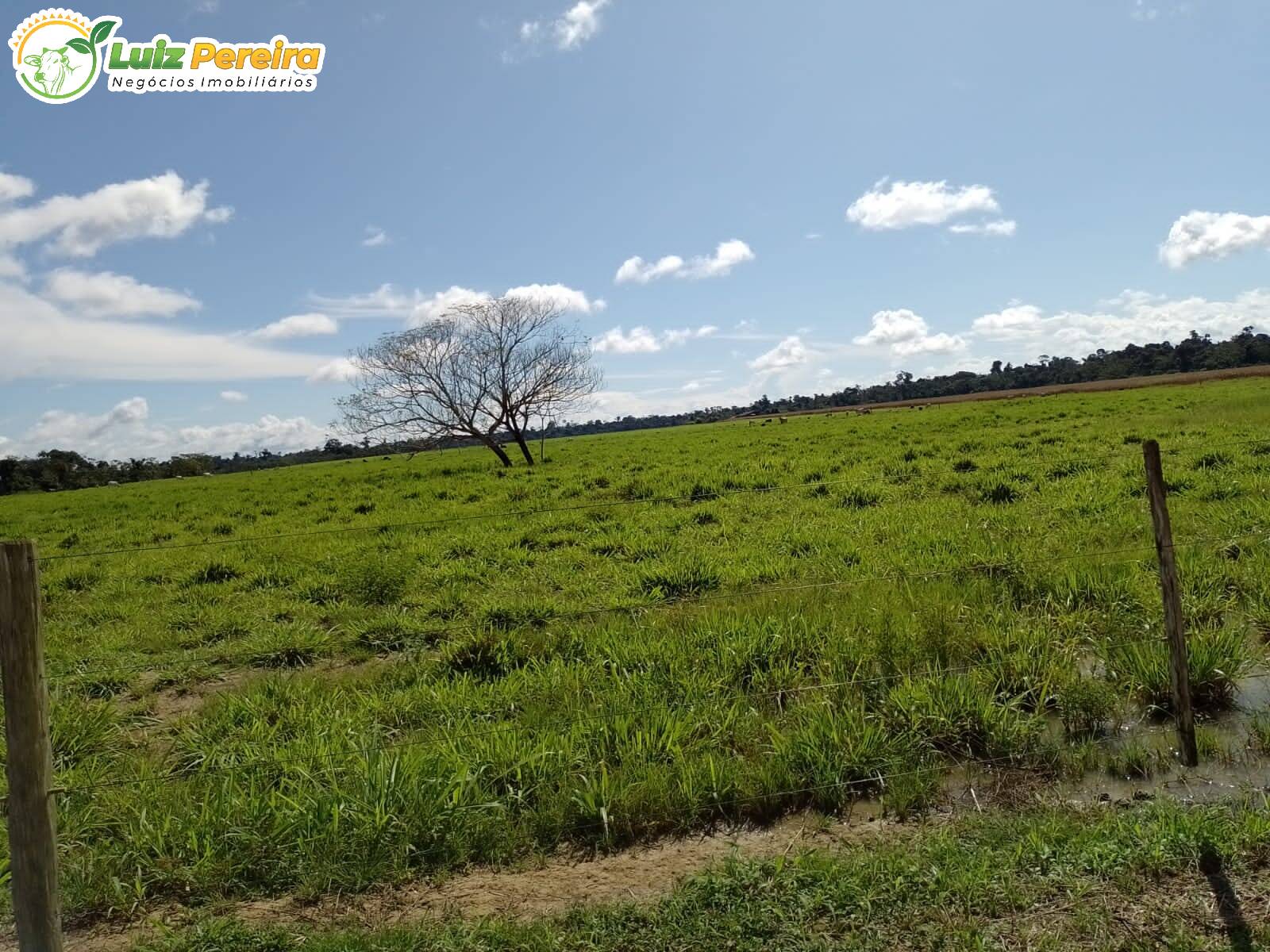 Fazenda à venda, 12560000m² - Foto 6