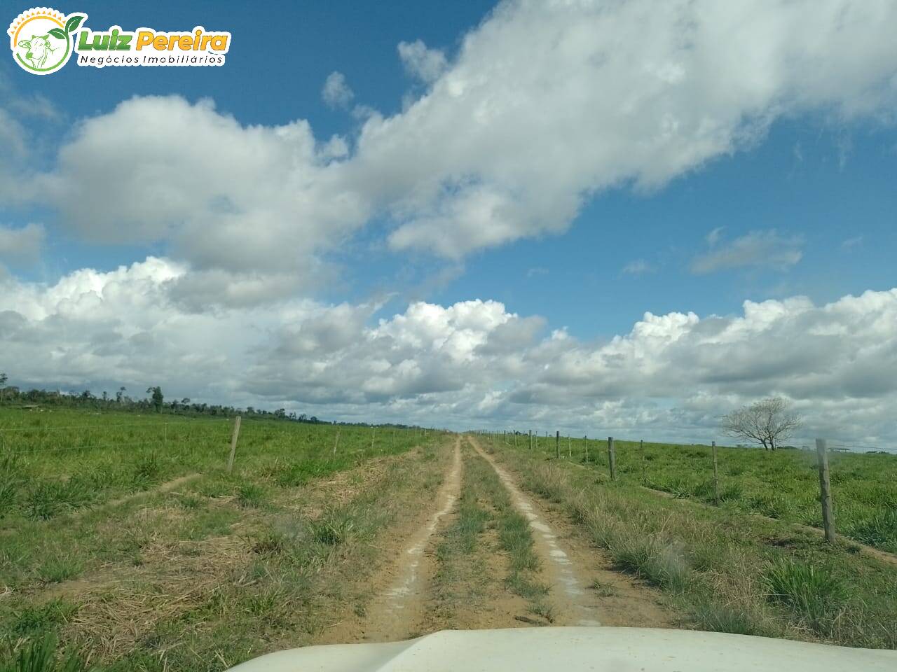 Fazenda à venda, 12560000m² - Foto 18