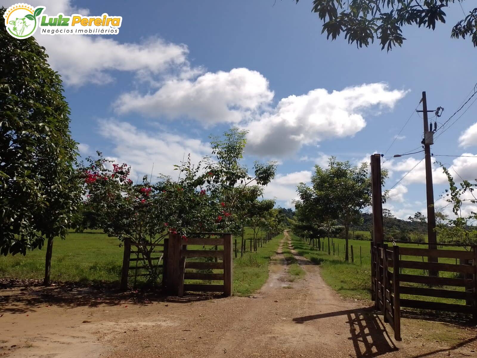 Fazenda à venda, 12560000m² - Foto 19