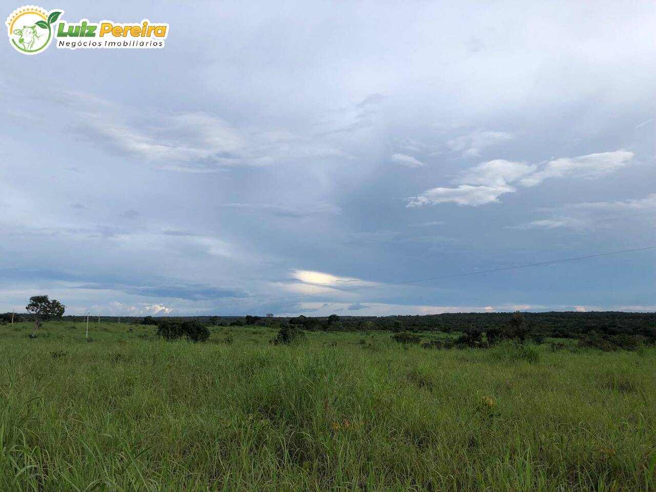 Fazenda-Sítio-Chácara, 468 hectares - Foto 1