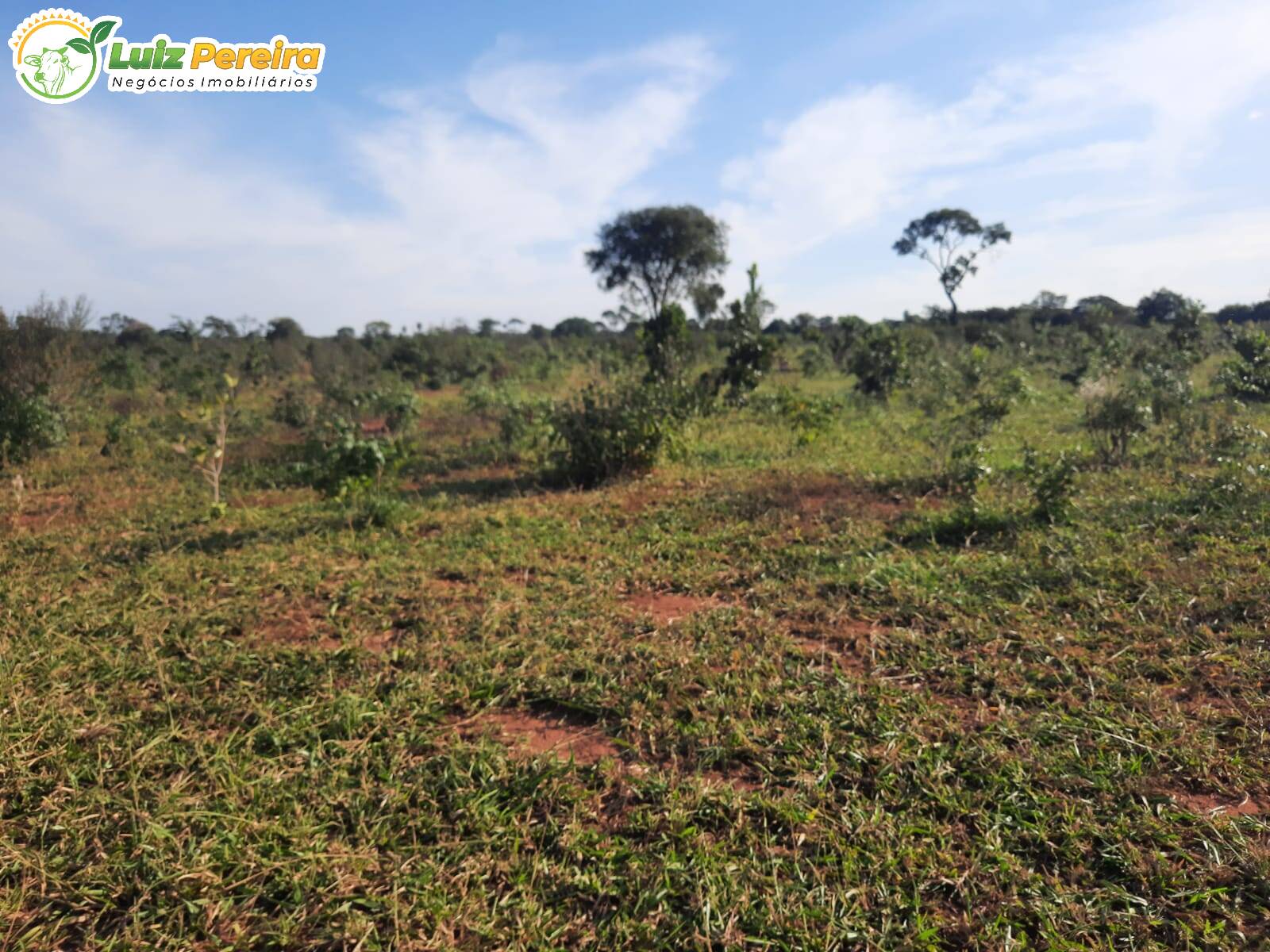 Fazenda à venda, 8400000m² - Foto 1