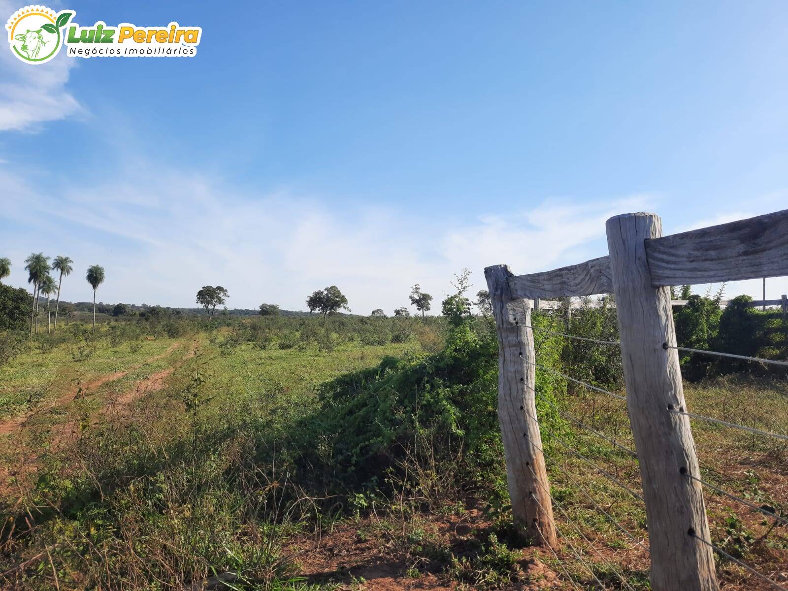 Fazenda à venda, 8400000m² - Foto 10