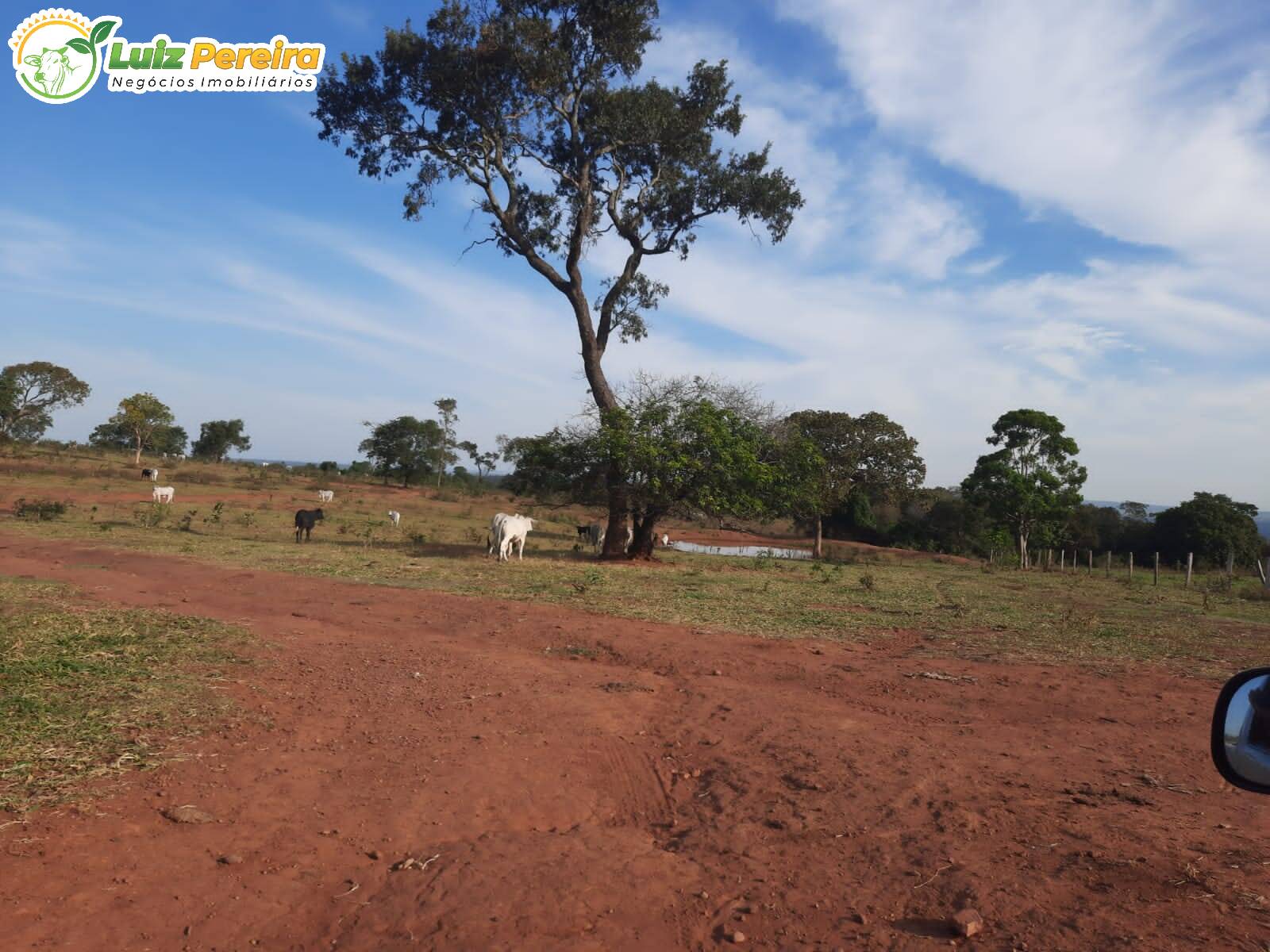 Fazenda à venda, 8400000m² - Foto 11