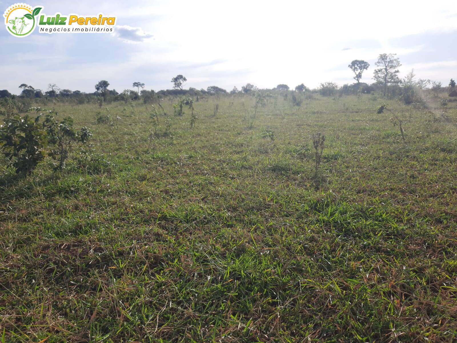 Fazenda à venda, 8400000m² - Foto 2