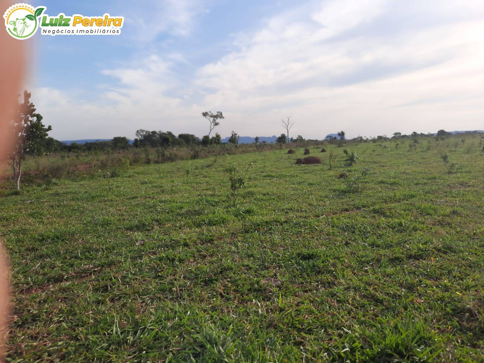 Fazenda à venda, 8400000m² - Foto 4