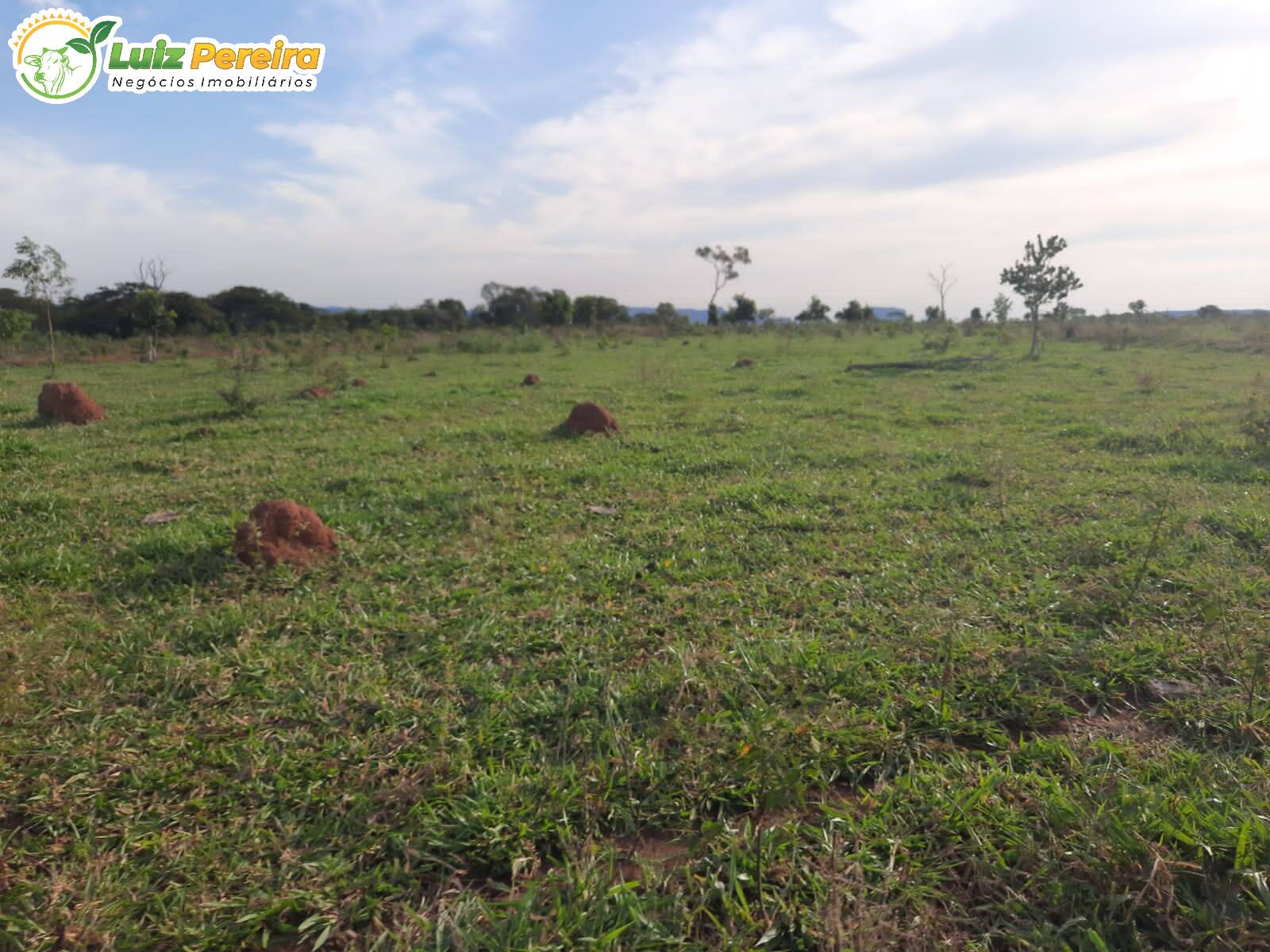 Fazenda à venda, 8400000m² - Foto 12