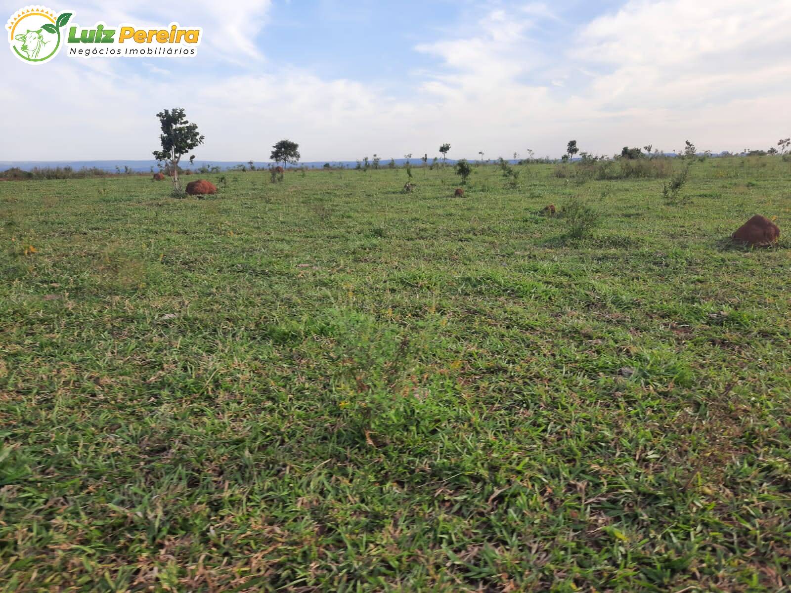 Fazenda à venda, 8400000m² - Foto 7