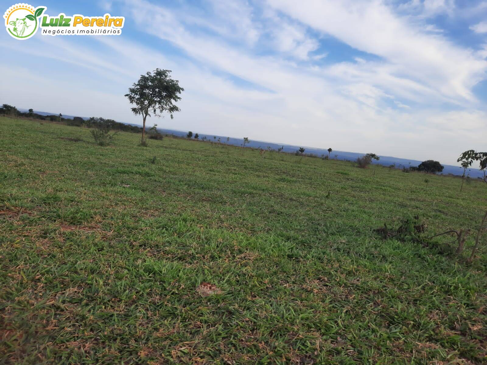 Fazenda à venda, 8400000m² - Foto 5