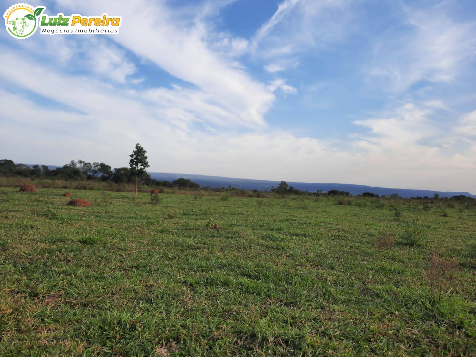 Fazenda à venda, 8400000m² - Foto 6