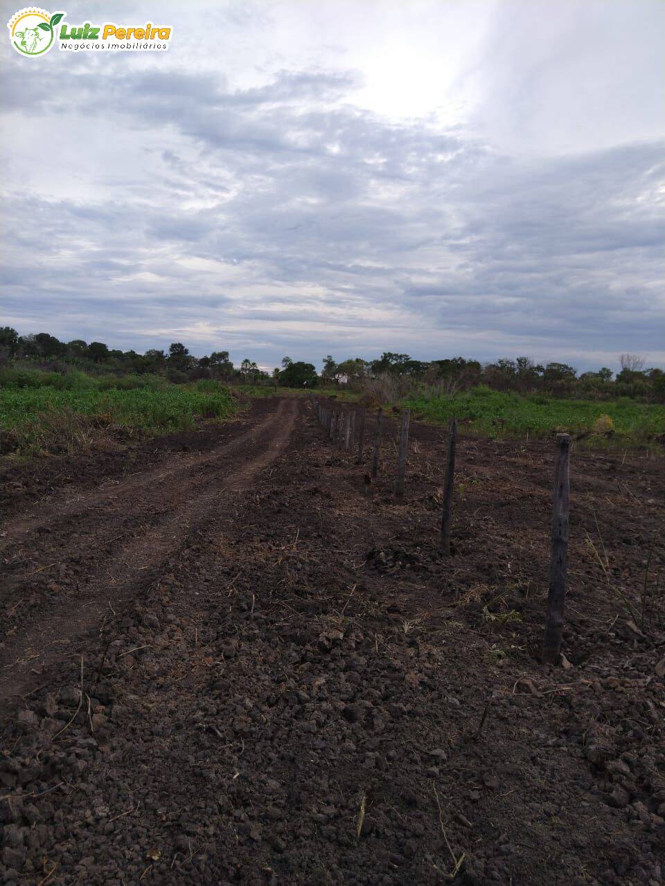 Fazenda à venda, 20500000m² - Foto 9