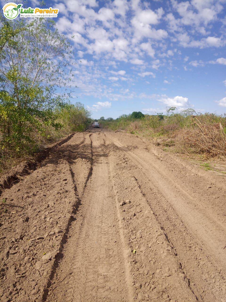 Fazenda à venda, 20500000m² - Foto 19