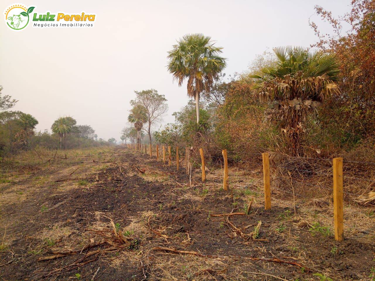 Fazenda à venda, 20500000m² - Foto 21