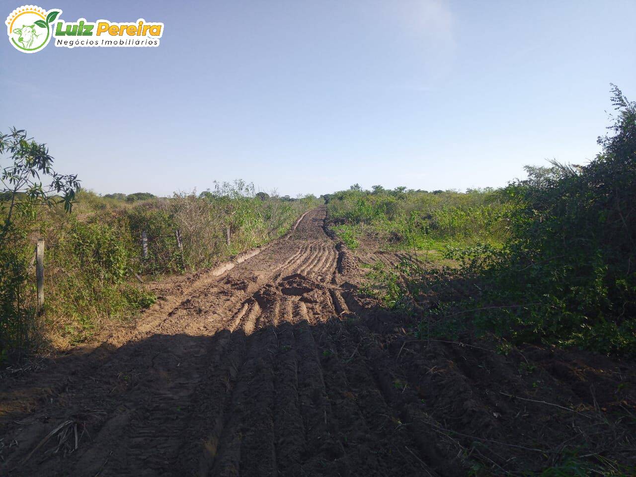 Fazenda à venda, 20500000m² - Foto 10