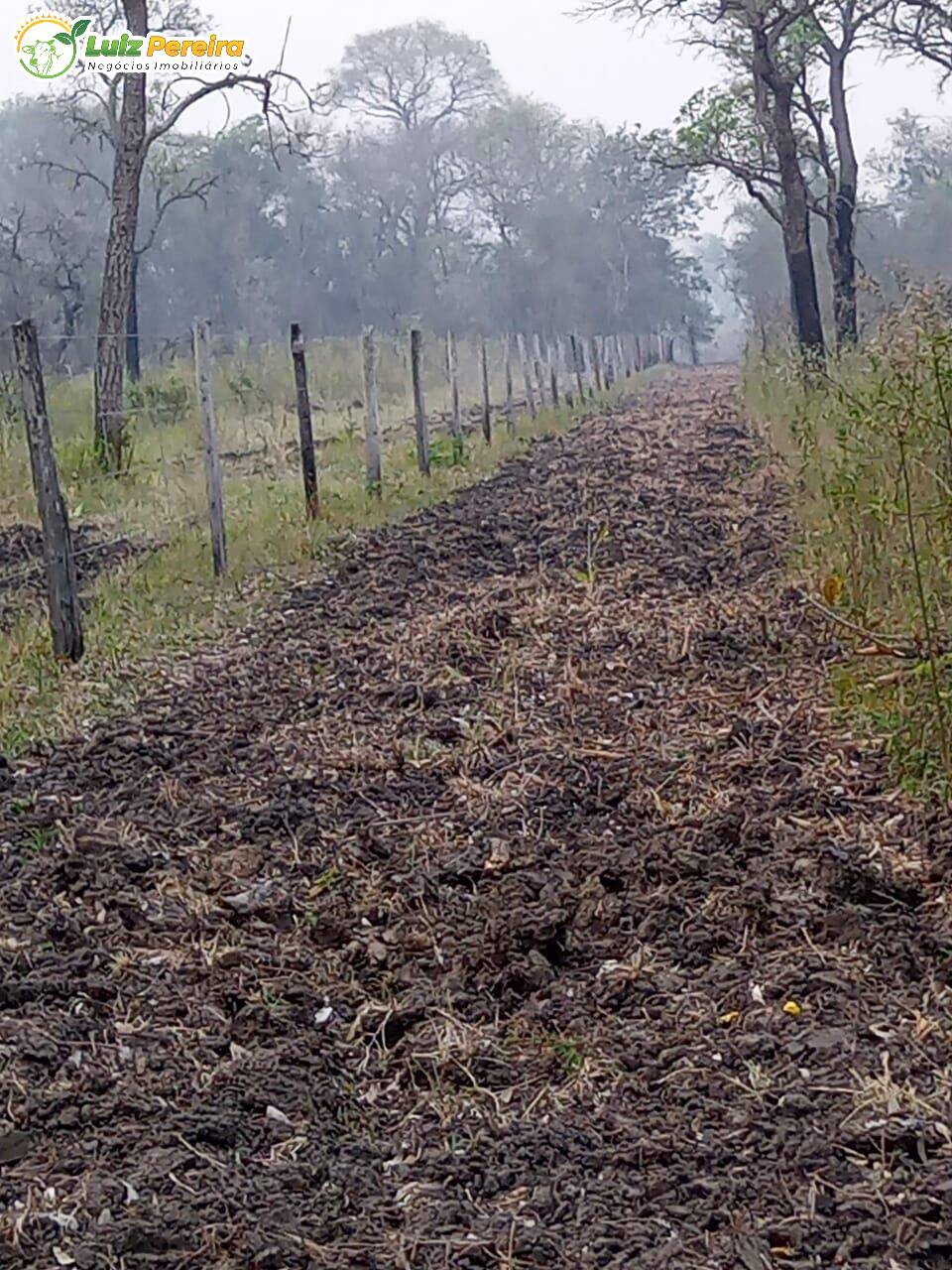 Fazenda à venda, 20500000m² - Foto 13