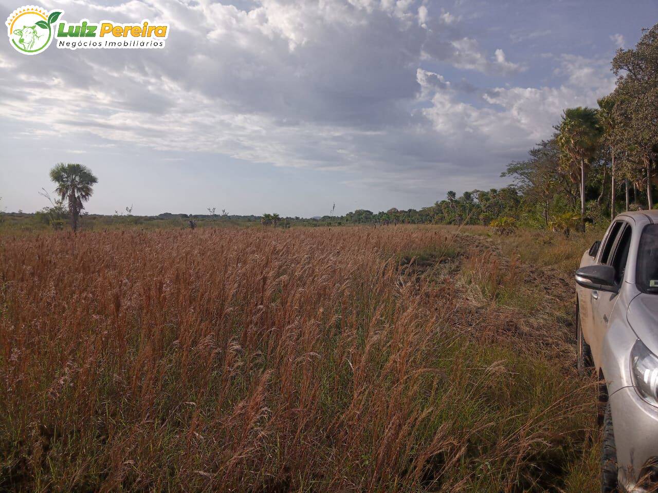 Fazenda à venda, 20500000m² - Foto 15