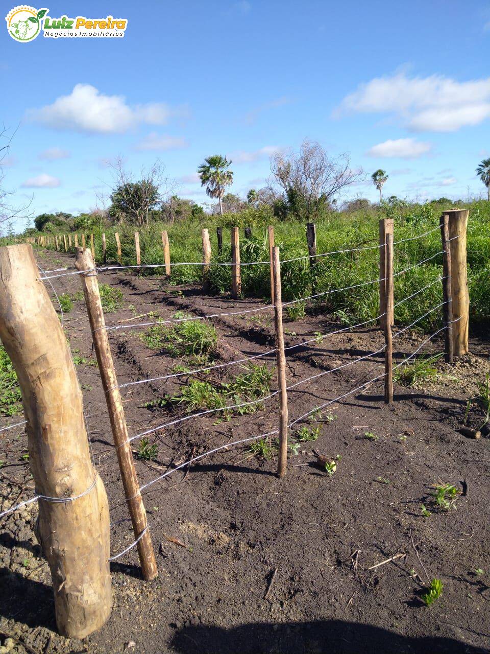 Fazenda à venda, 20500000m² - Foto 11