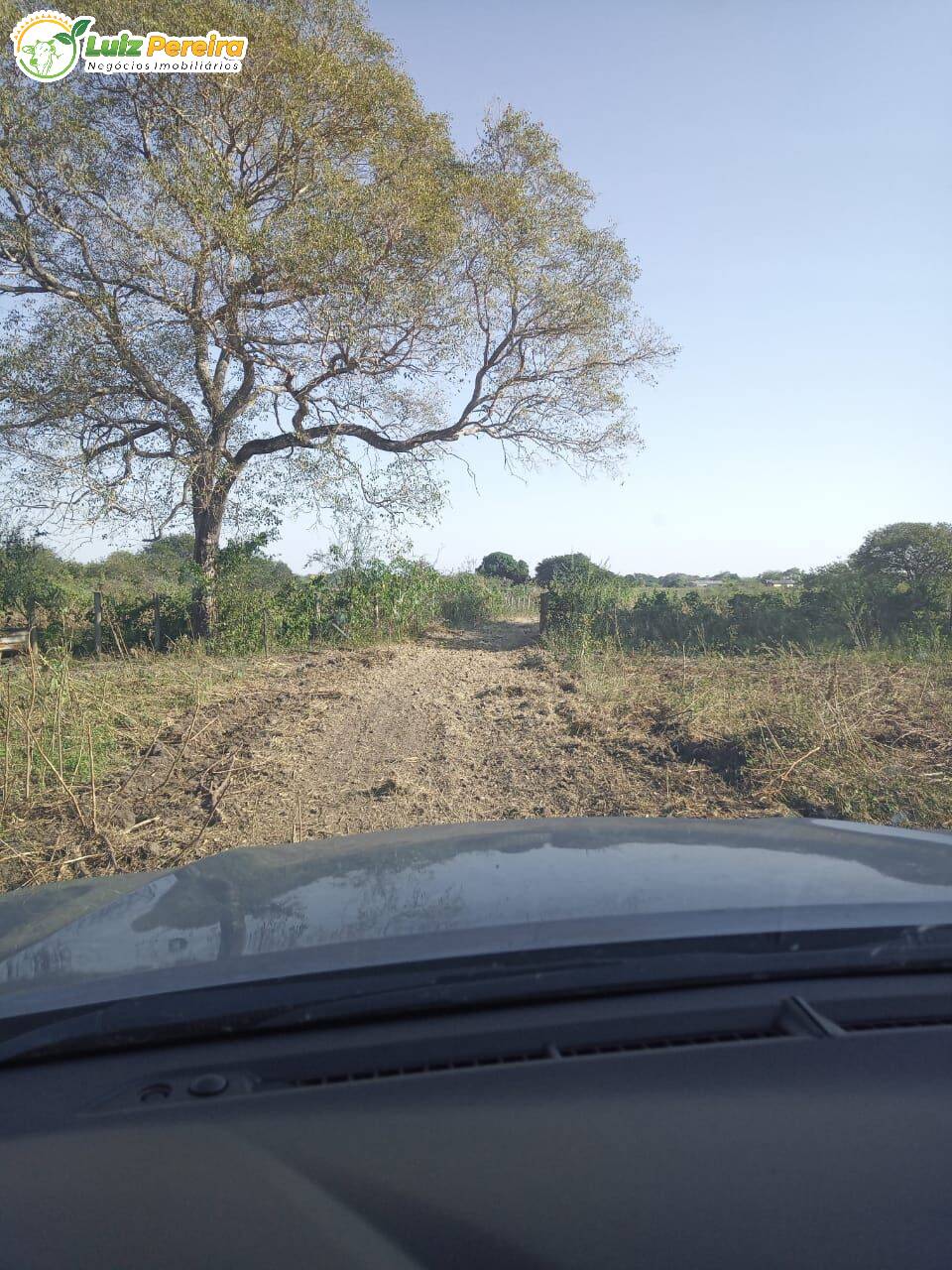 Fazenda à venda, 20500000m² - Foto 16