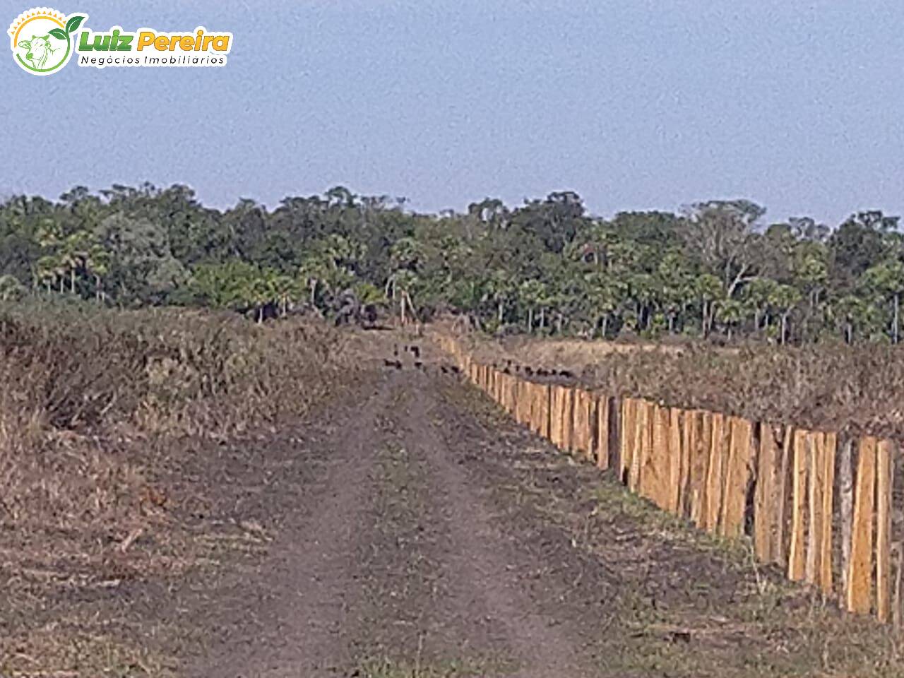 Fazenda à venda, 20500000m² - Foto 18