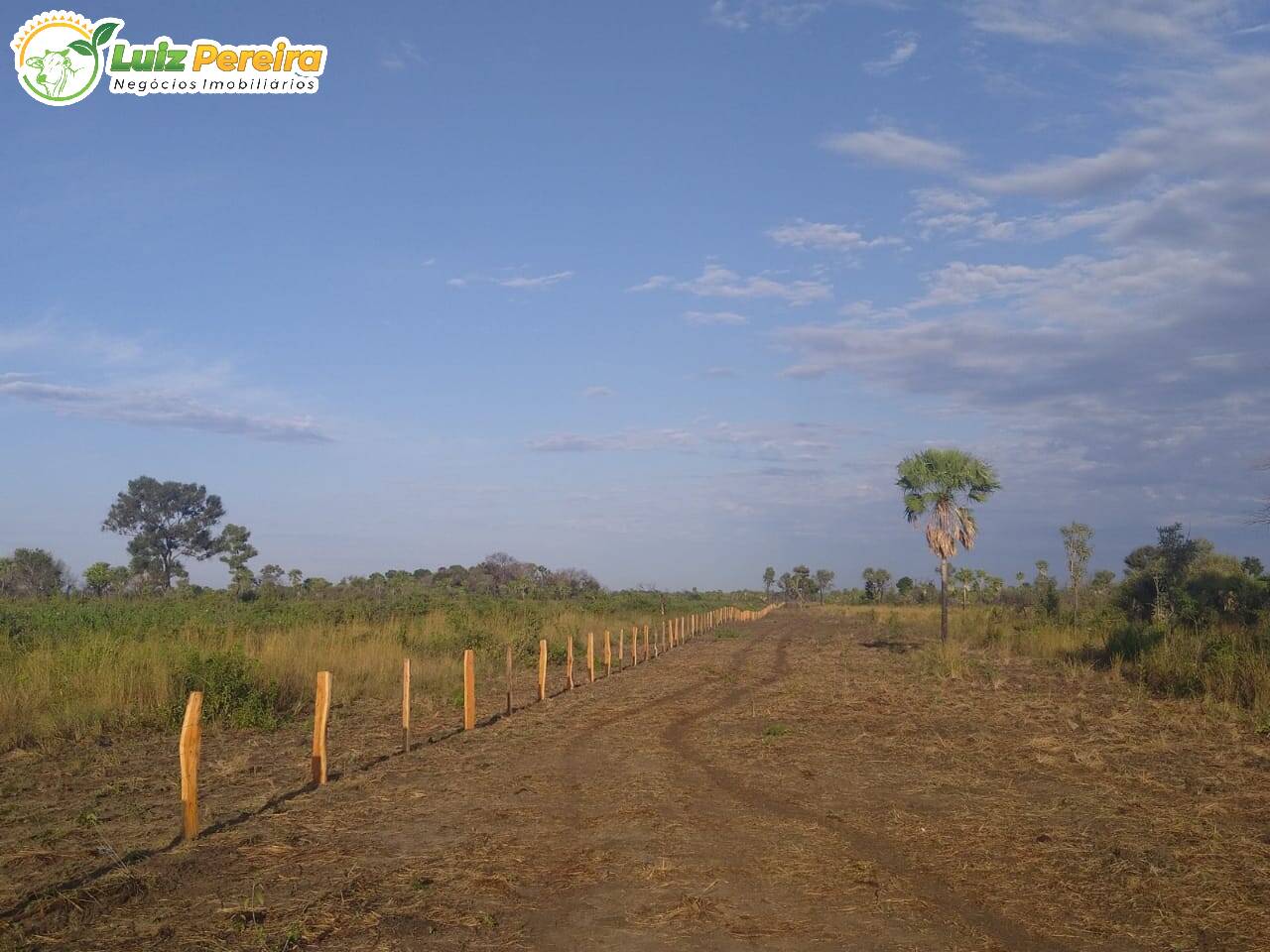 Fazenda à venda, 20500000m² - Foto 22