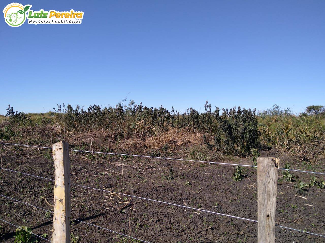 Fazenda à venda, 20500000m² - Foto 14