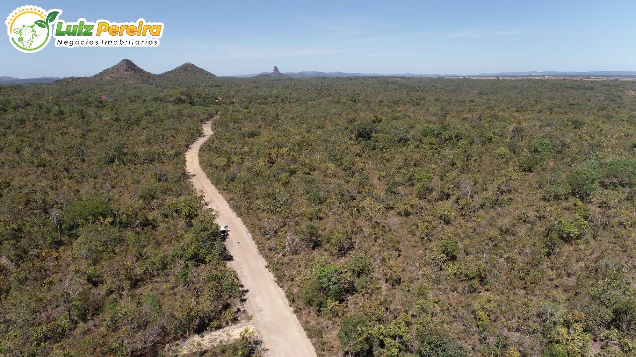 Fazenda à venda, 13790000m² - Foto 7