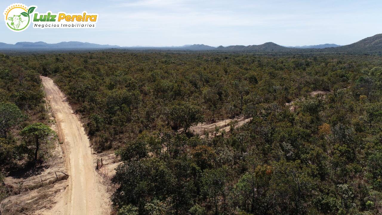 Fazenda à venda, 13790000m² - Foto 6