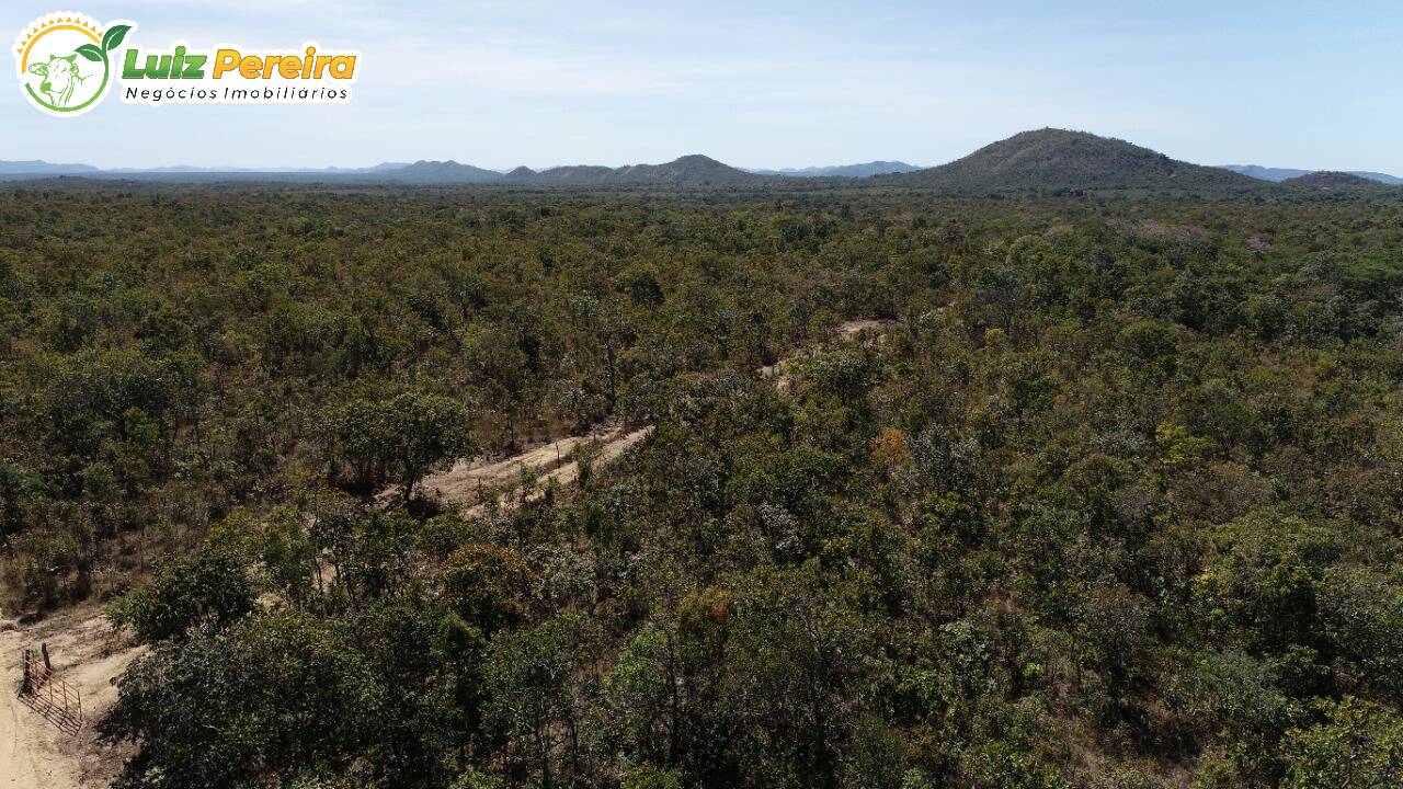 Fazenda à venda, 13790000m² - Foto 5