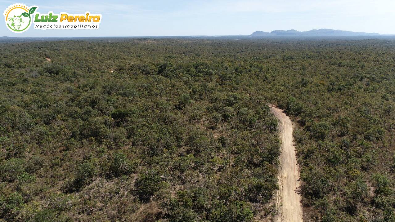 Fazenda à venda, 13790000m² - Foto 9