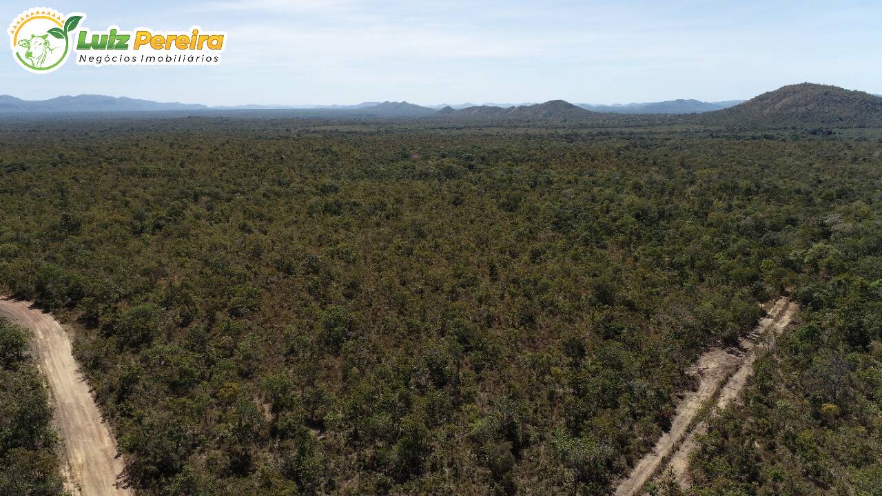 Fazenda à venda, 13790000m² - Foto 8