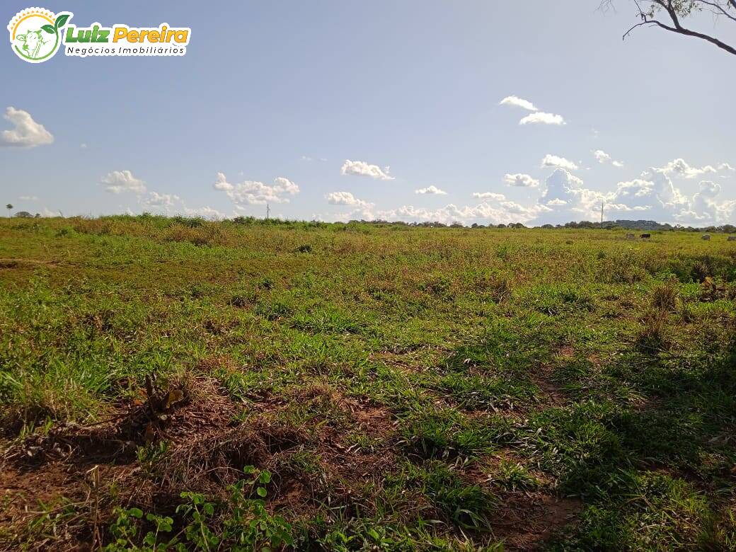 Fazenda à venda, 48550000m² - Foto 8