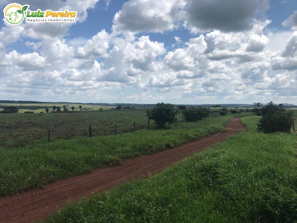 Fazenda à venda, 48550000m² - Foto 14