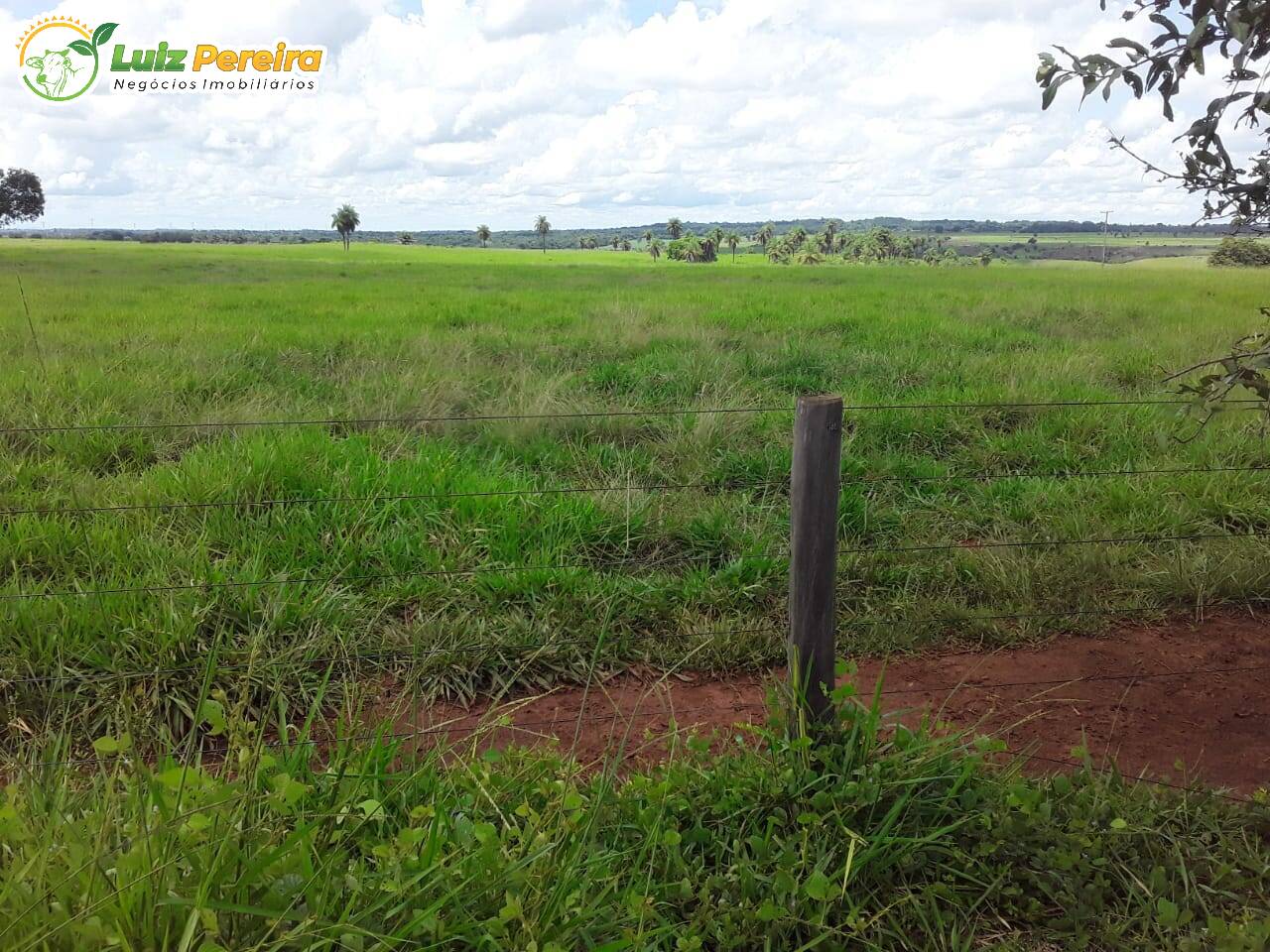 Fazenda à venda, 48550000m² - Foto 27