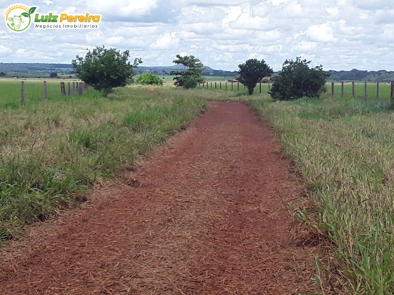 Fazenda à venda, 48550000m² - Foto 16