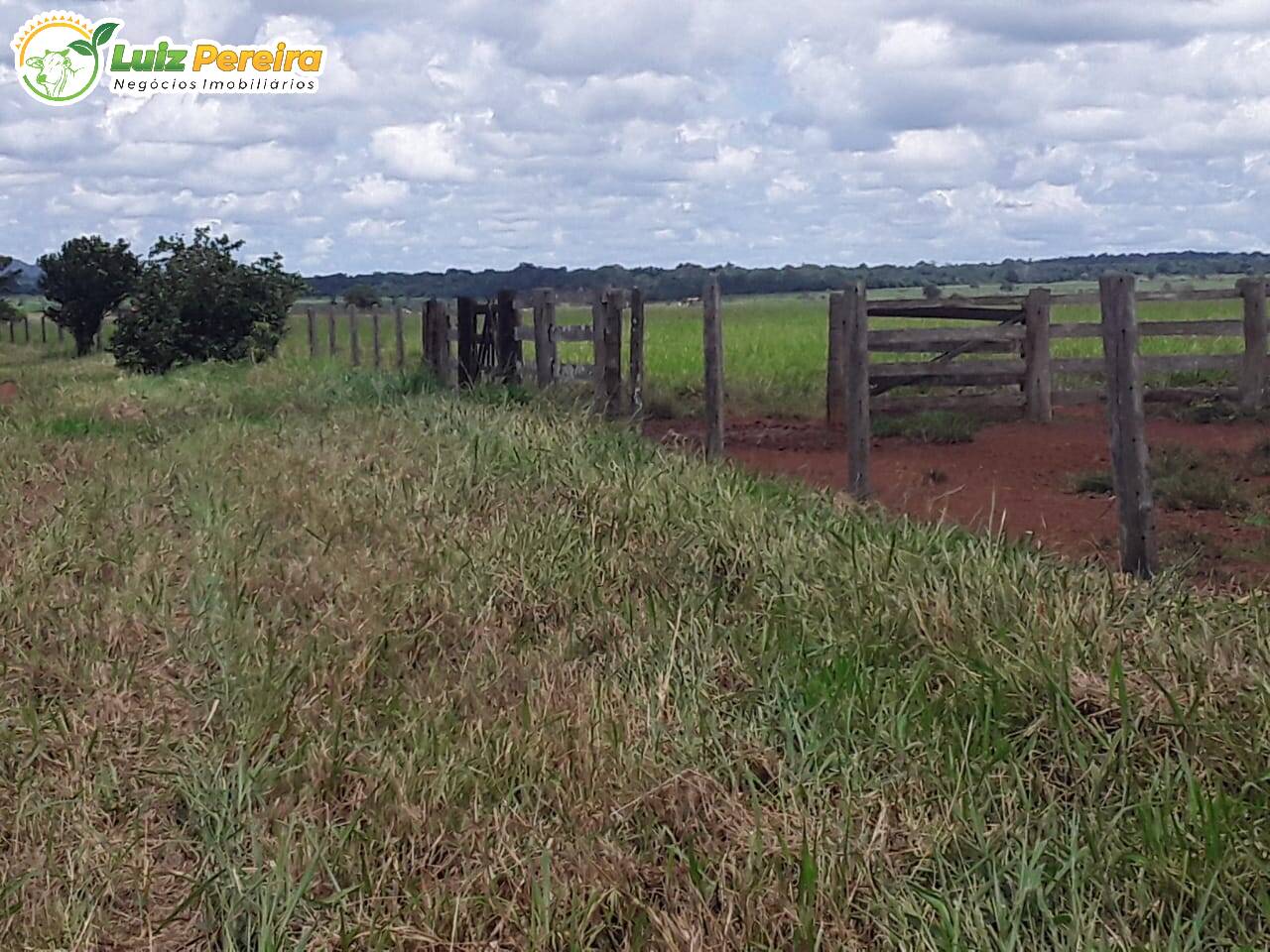 Fazenda à venda, 48550000m² - Foto 20