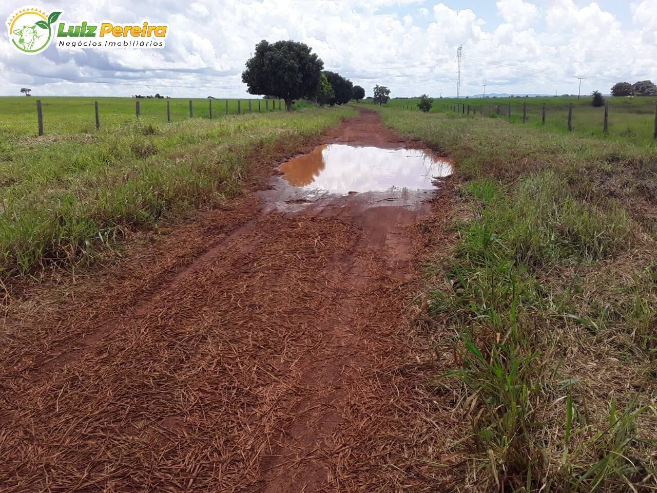 Fazenda à venda, 48550000m² - Foto 18