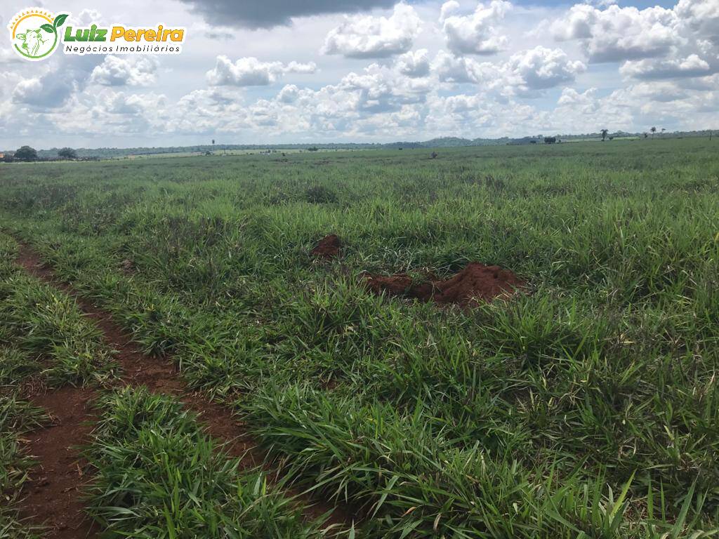 Fazenda à venda, 48550000m² - Foto 28