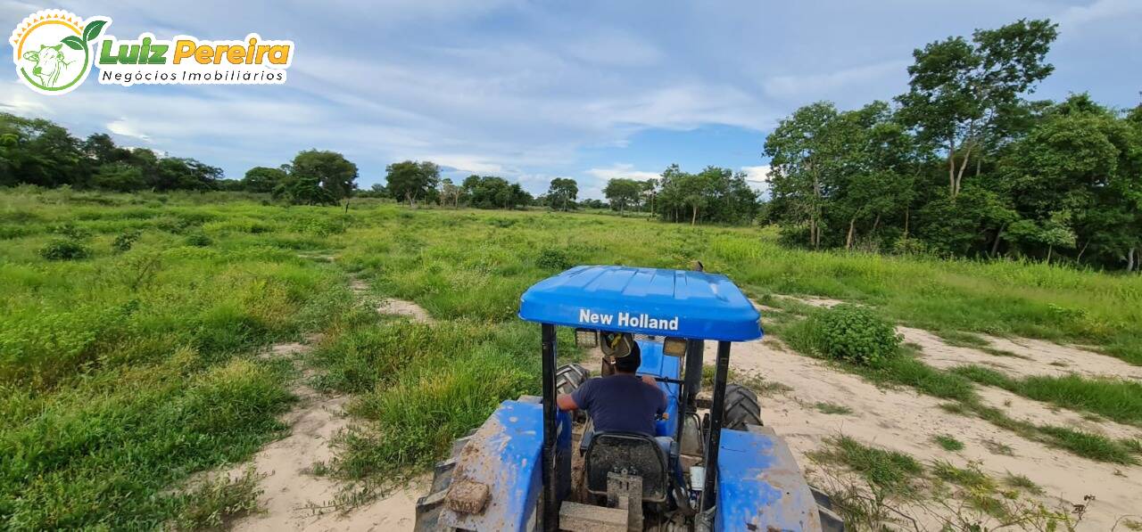 Fazenda à venda, 48770000m² - Foto 6