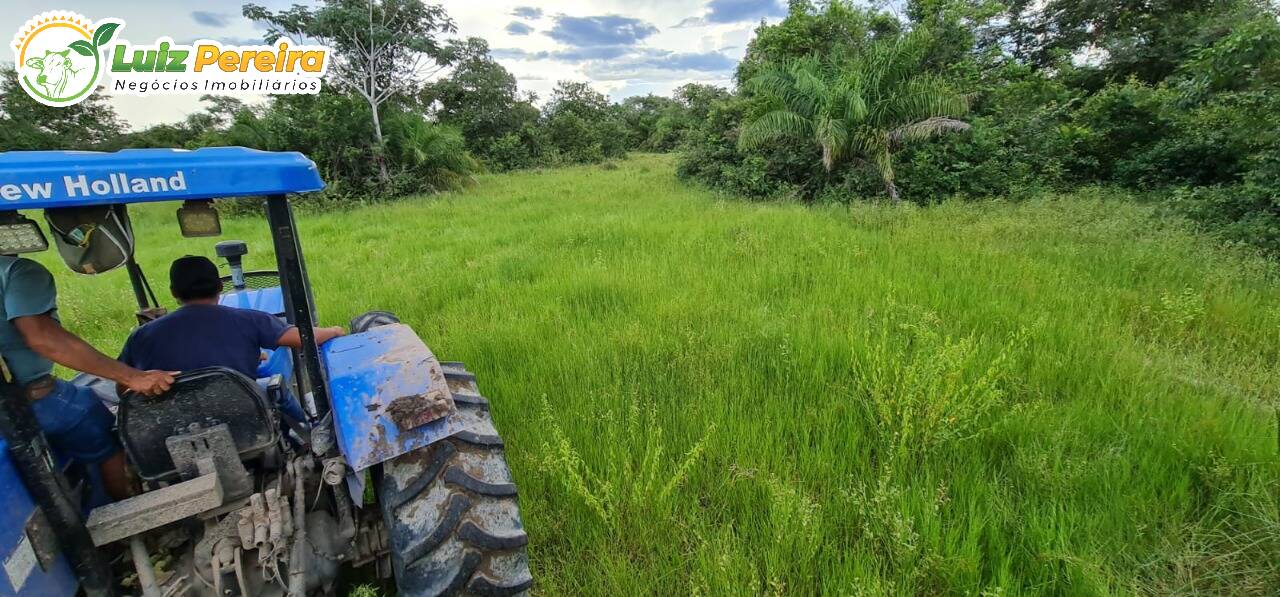 Fazenda à venda, 48770000m² - Foto 7