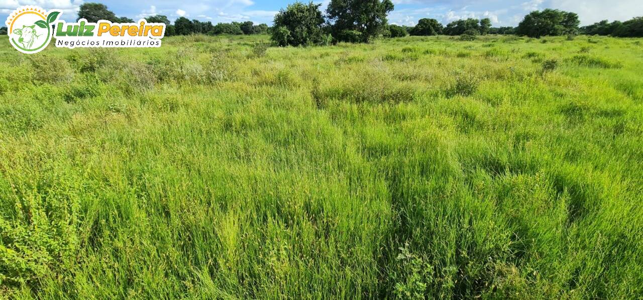 Fazenda à venda, 48770000m² - Foto 3