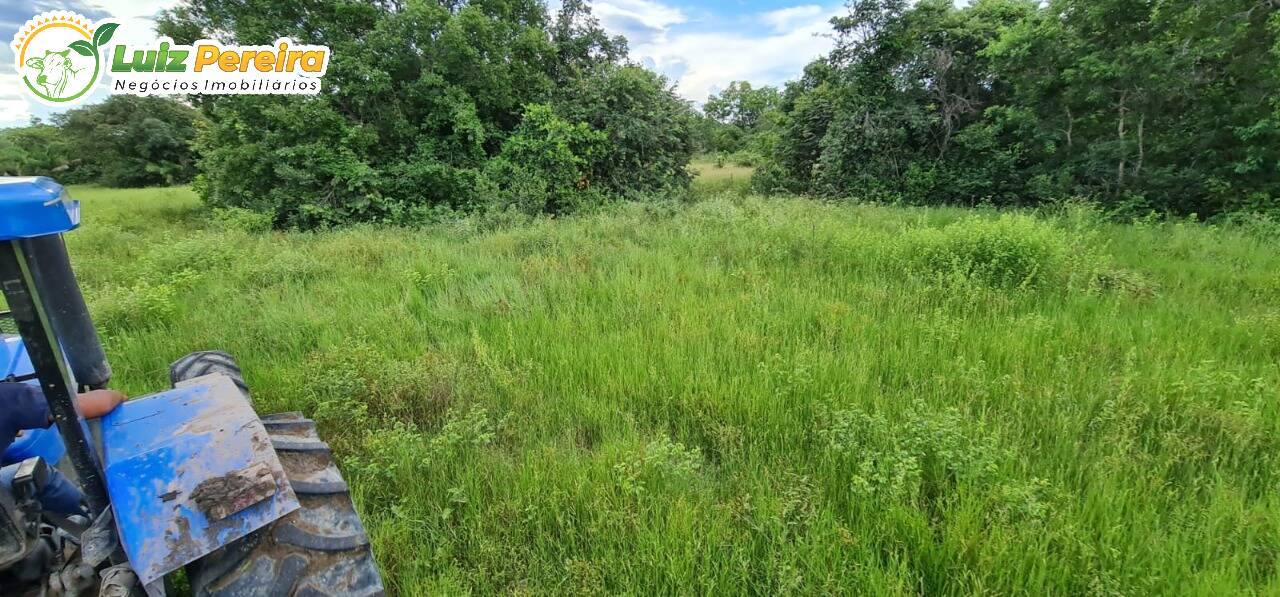 Fazenda-Sítio-Chácara, 4877 hectares - Foto 1