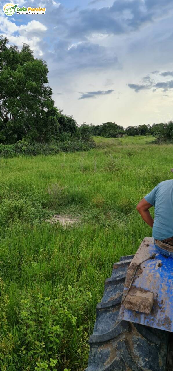 Fazenda à venda, 48770000m² - Foto 5