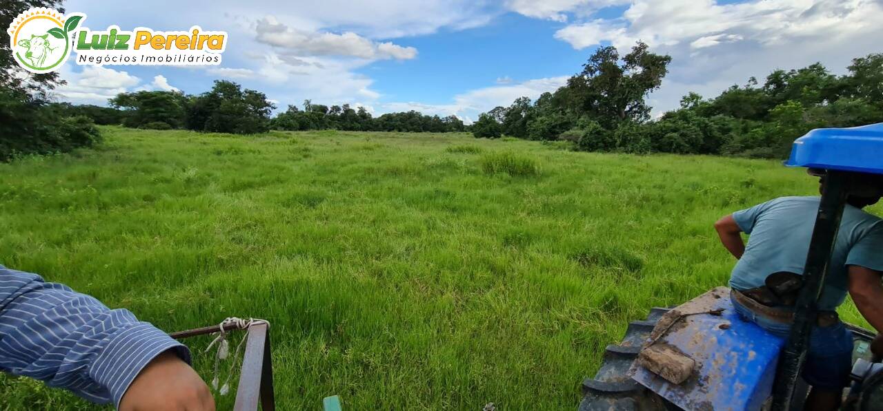 Fazenda-Sítio-Chácara, 4877 hectares - Foto 2