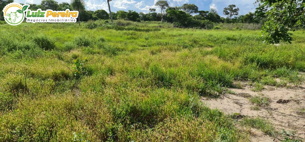 Fazenda-Sítio-Chácara, 4877 hectares - Foto 4