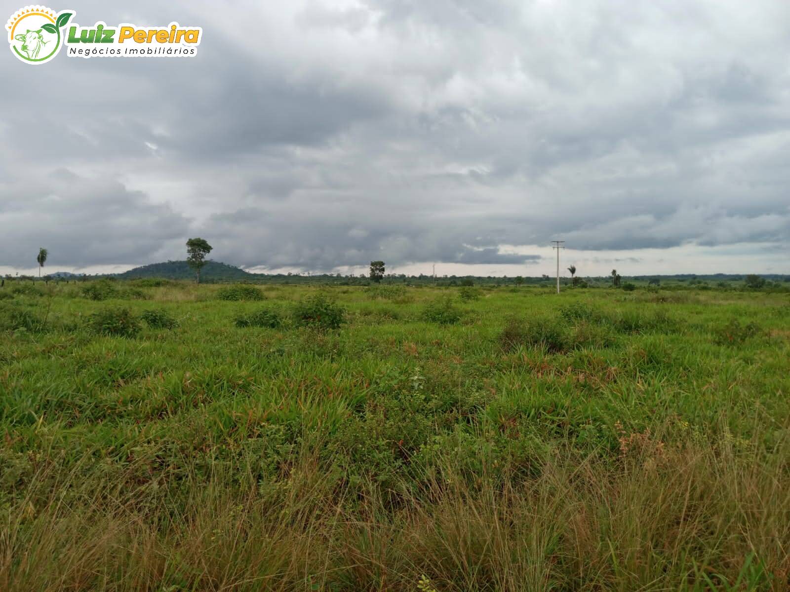 Fazenda à venda, 24200000m² - Foto 5