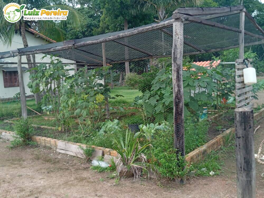 Fazenda à venda, 24200000m² - Foto 9