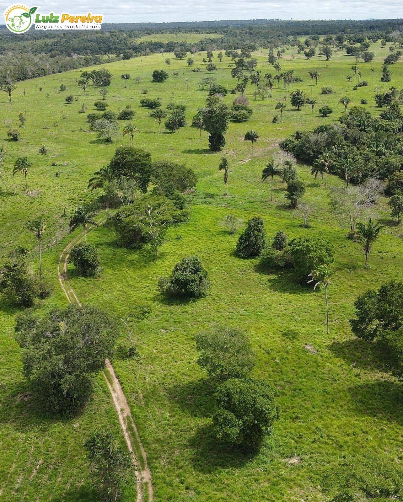 Fazenda-Sítio-Chácara, 402 hectares - Foto 1