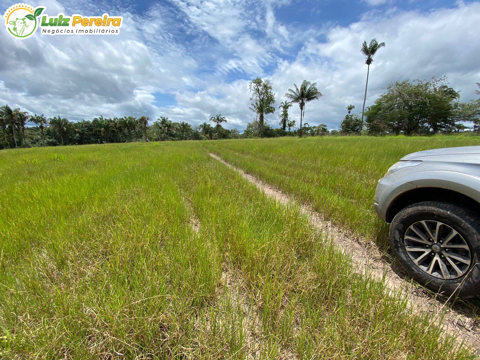 Fazenda à venda, 4017200m² - Foto 13